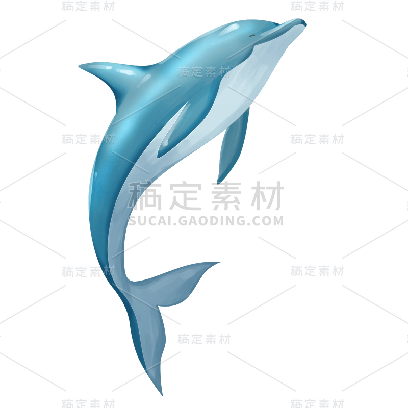 手绘-海洋生物元素-海豚