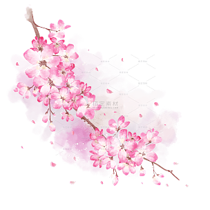 手绘粉色水彩樱花花朵插画元素5