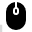 computer mouse