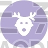 Reindeer