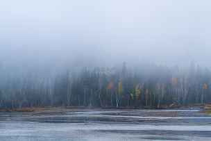 冬季水边雾气缭绕的树林