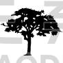 Tree Design