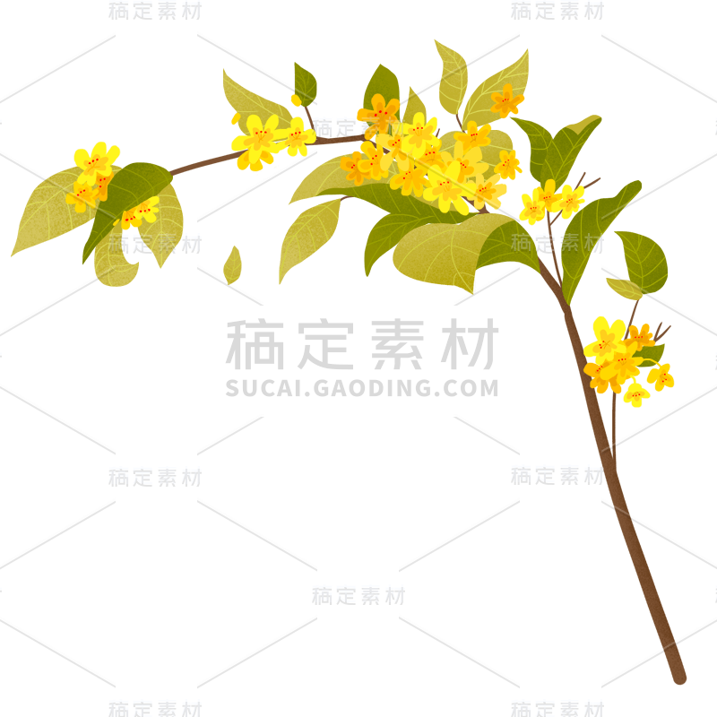 手绘风-植物贴纸-树枝