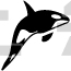 Killer Whale