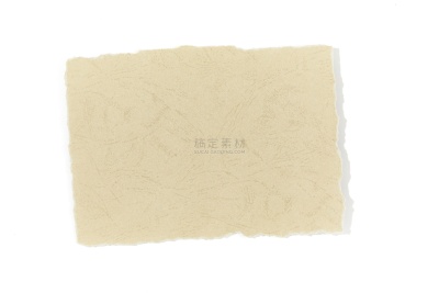 特效系列写实风方形撕纸