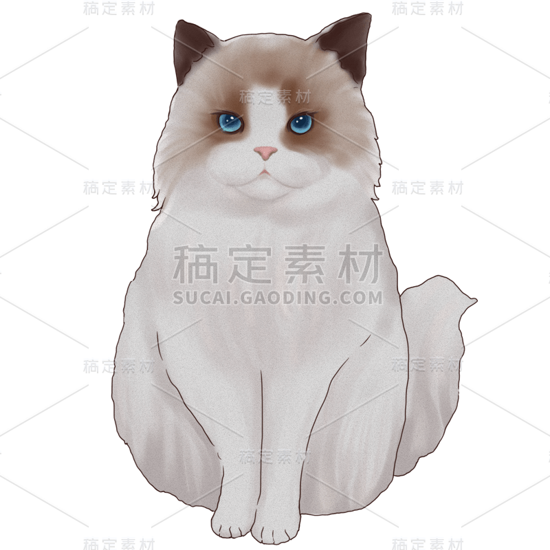 手绘-可爱猫咪动物元素贴纸10布偶猫