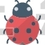 Bug