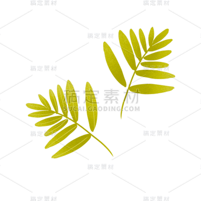 手绘风-植物贴纸-叶子