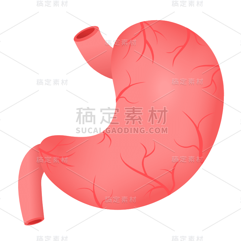 扁平-器官元素医疗贴纸-SVG-胃