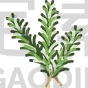 Herbs