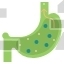 Stomach