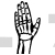 Hand Bones