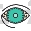 Bloodshot Eye