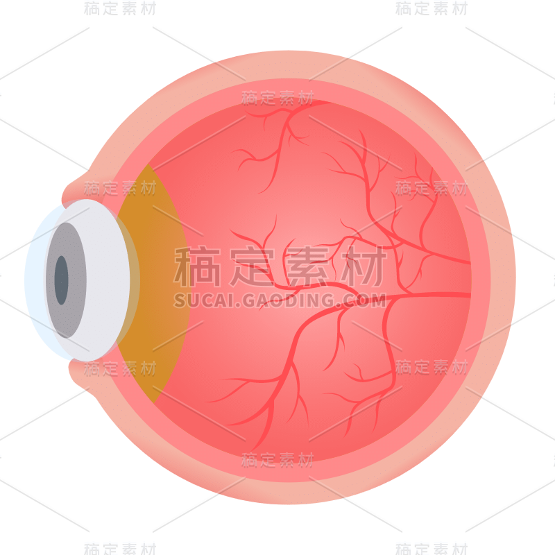 扁平-器官元素医疗贴纸-SVG-眼球