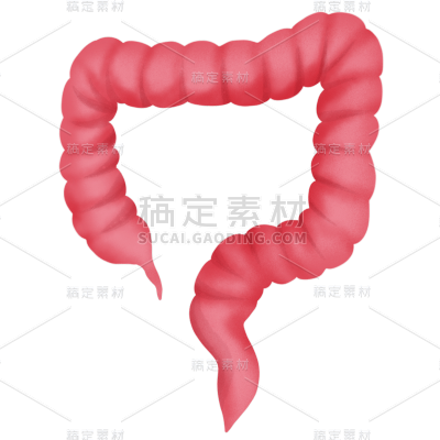 手绘-人体器官元素