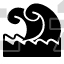 tsunami