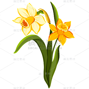 手绘-清新花卉植物元素贴纸8