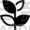 Plant Growth