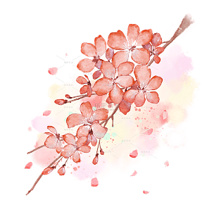 手绘粉色水彩樱花花朵插画元素3