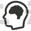 brain