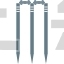 Cricket Wicket