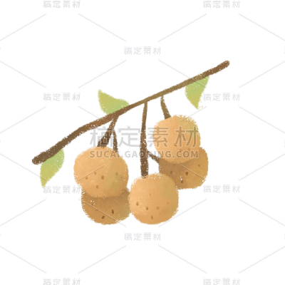 手绘-清新水果美食元素贴纸-龙眼