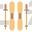 ski