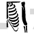 Rib Cage