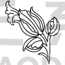 Flower Design