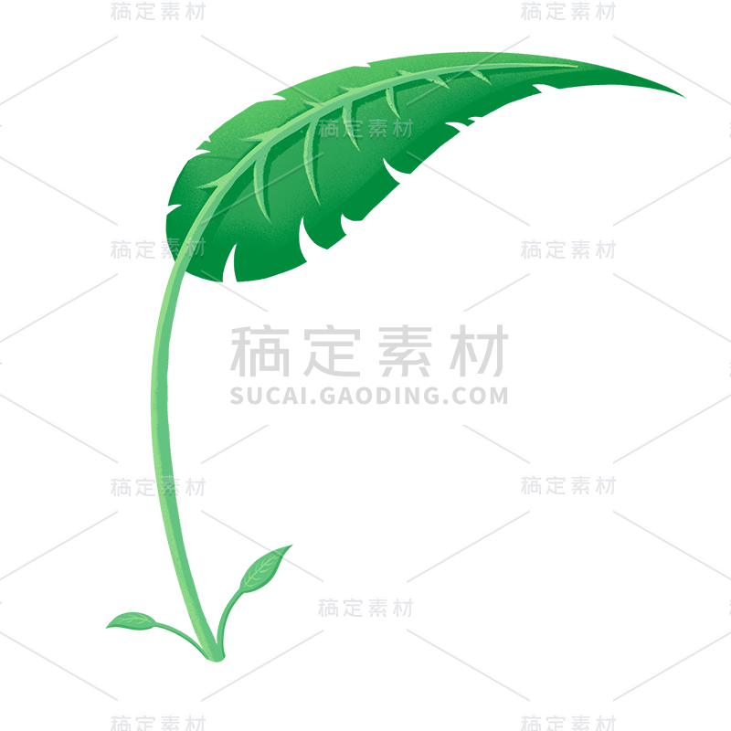 手绘风-植物元素-植物