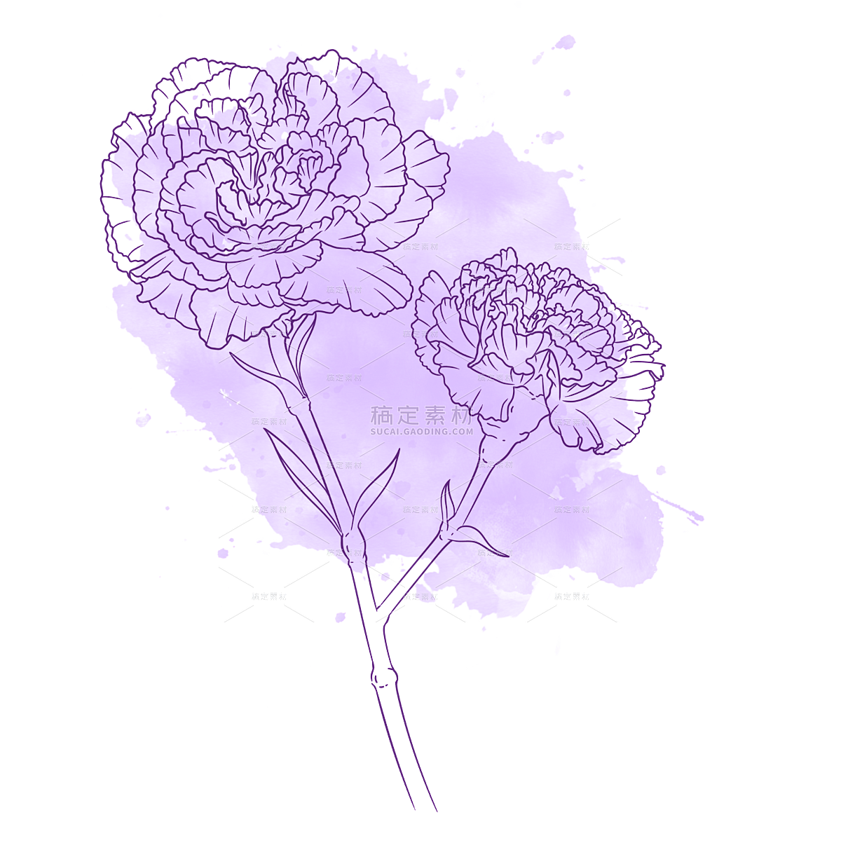 紫色线稿花卉线条抽象元素