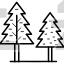 Pine Trees