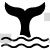 Fin Whale