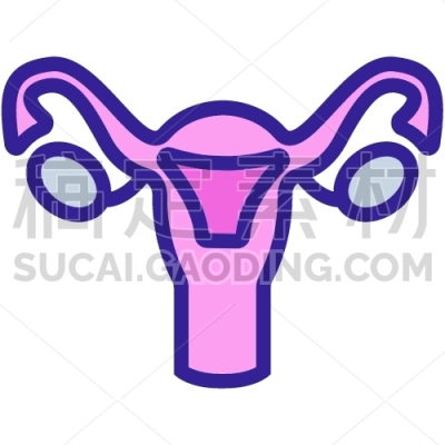 cervix