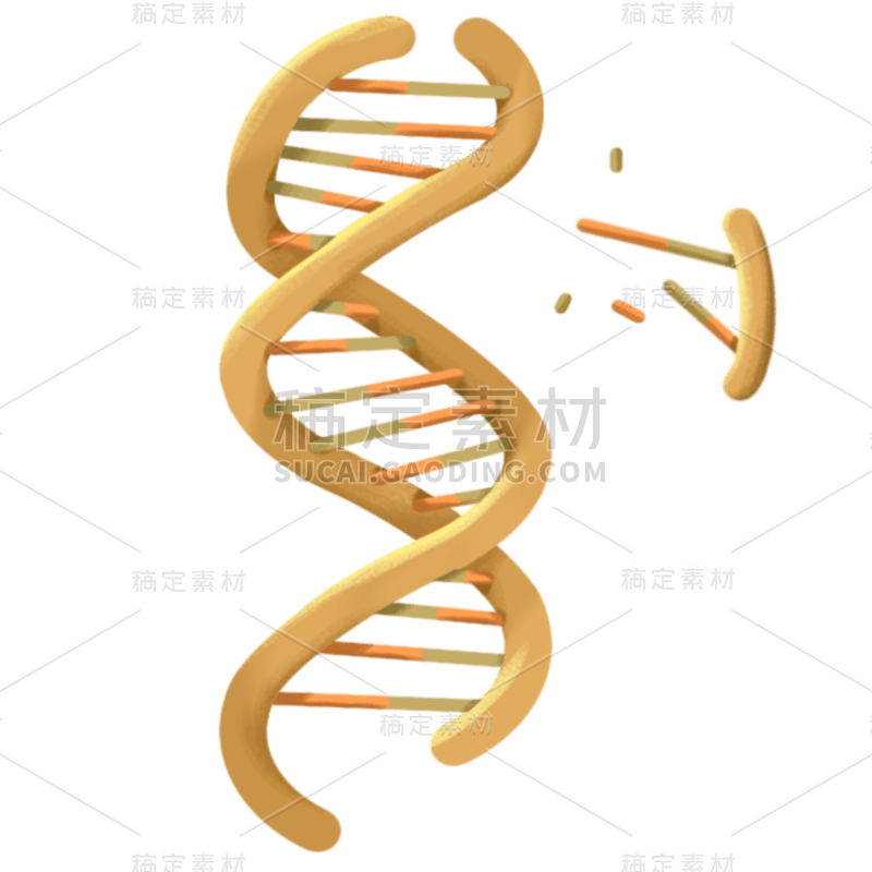 手绘-初高中课程辅导贴纸-DNA