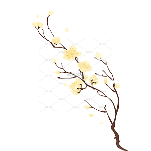 手绘水彩梅花花卉植物元素2