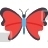 Imperial Red Butterfly
