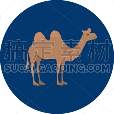 Camel
