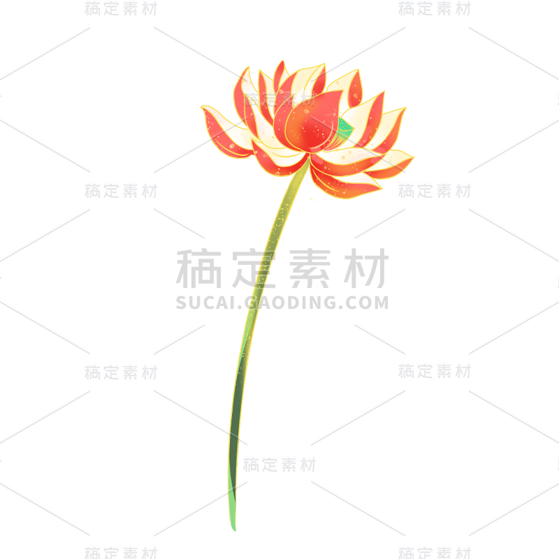 荷花