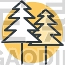 Pine