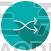 Arrows