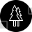 Ecology, Environment, Nature, Garden, Tree, Pine, Christmas