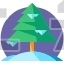 Pine tree