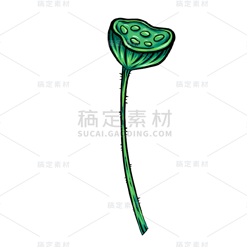 春节国潮风手绘插画贴纸-莲蓬