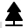pine tree