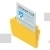 Medical Record