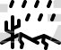 Desert, Rain, Weather, Fall, Drop, Plant, Tree