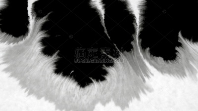 油墨被羊皮纸吸收。书法墨流概念