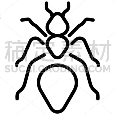 Insect