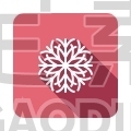 Snowflake